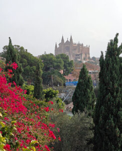 Blick zur Kathedrale