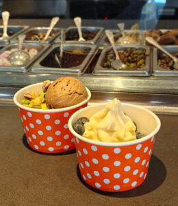 Scoops Gelato Bar