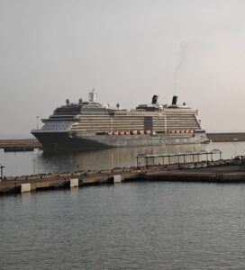 Celebrity Silhouette