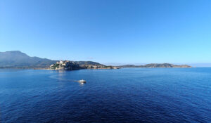 Calvi