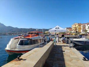 Calvi