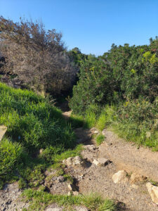 Sentier du Littoral