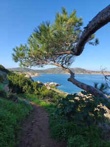 Sentier du Littoral