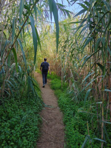 Sentier du Littoral