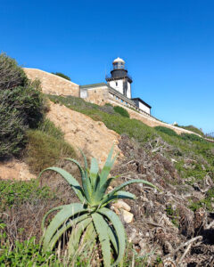 Leuchtturm Revellata
