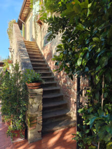 Fattoria Vialto