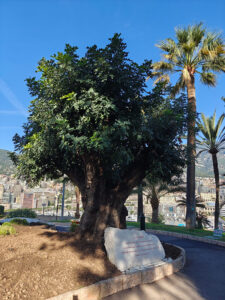 Jardin des Pecheurs