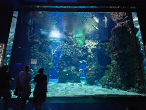 Aquarium