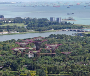 Gardens by the Bay - beim nächsten Mal