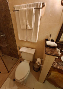 Toilette mit Handtüchern