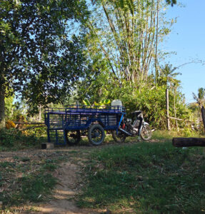 Tuk Tuk Taxi