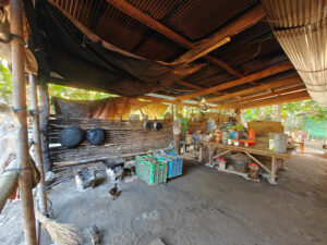 Besuch im traditionellen Holzhaus