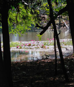 Choeung Ek Genocidal Center