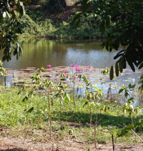 Choeung Ek Genocidal Center