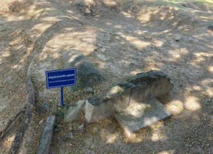 Reste des Chinesischen Friedhofs