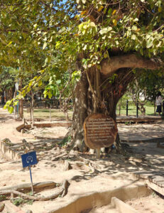 Choeung Ek Genocidal Center