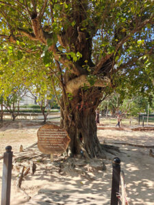 Choeung Ek Genocidal Center
