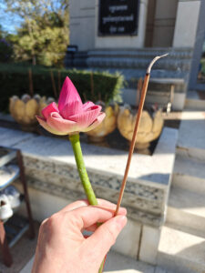 Lotusblüte und Räucherstäbchen