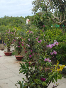 Orchideengarten