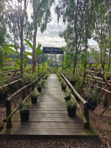 Tra Su Forest