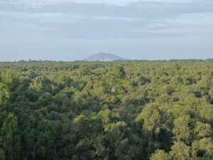 Aussicht