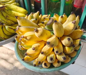 Long Thuan