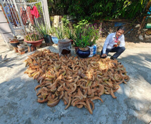 Long Thuan