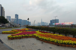 Saigon Sykline
