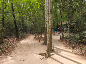 Cu Chi Tunnel