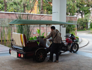 Tuk Tuk Tour
