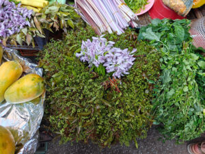 Marktbesuch