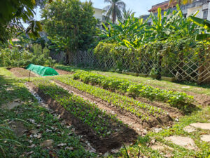 eigener Garten