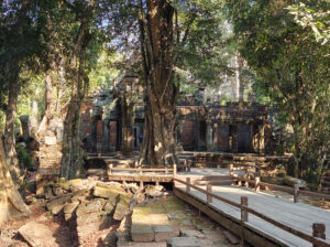 Ta Prohm Tempel