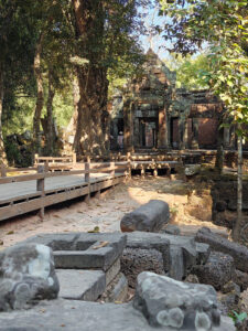 Ta Prohm Tempel