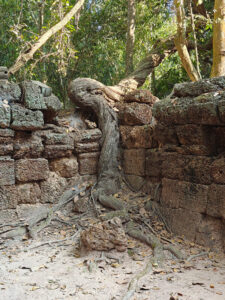 Ta Prohm Tempel
