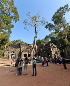 Ta Prohm Tempel
