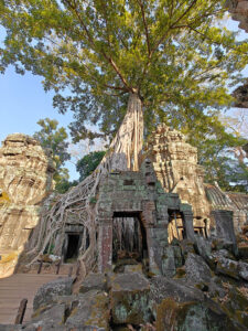 Ta Prohm Tempel