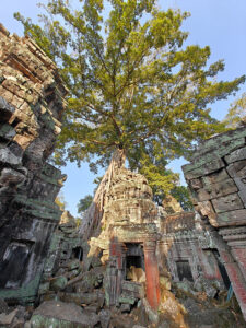 Ta Prohm Tempel