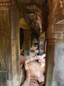 Ta Prohm Tempel