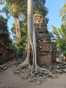 Ta Prohm Tempel