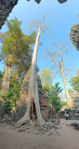 Ta Prohm Tempel