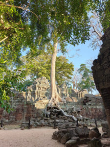 Ta Prohm Tempel