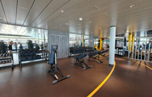 MSC Gym