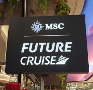 Future Cruise