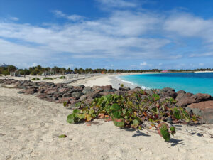 Bimini Beach