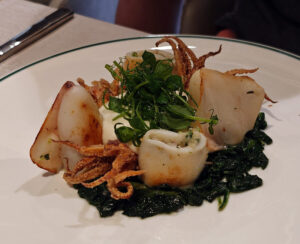 I Calamari