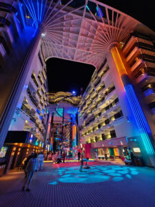 Palm Tree Show