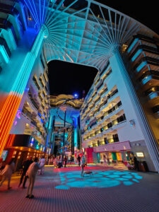 Palm Tree Show