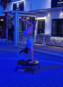 Palm Tree Show