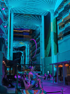 Palm Tree Show